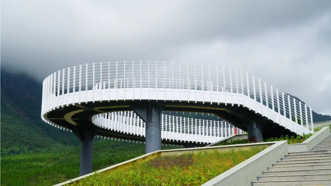 林青水绿茶飘香人道乡村好风光——莲花山片区乡村振兴示范带