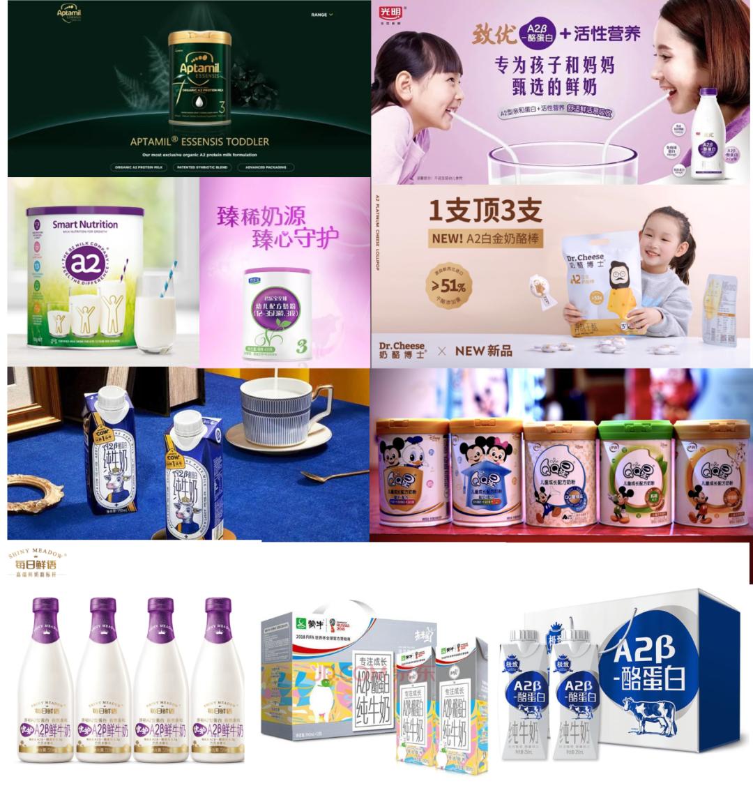 头部企业竞相布局前海,头部企业开始布局