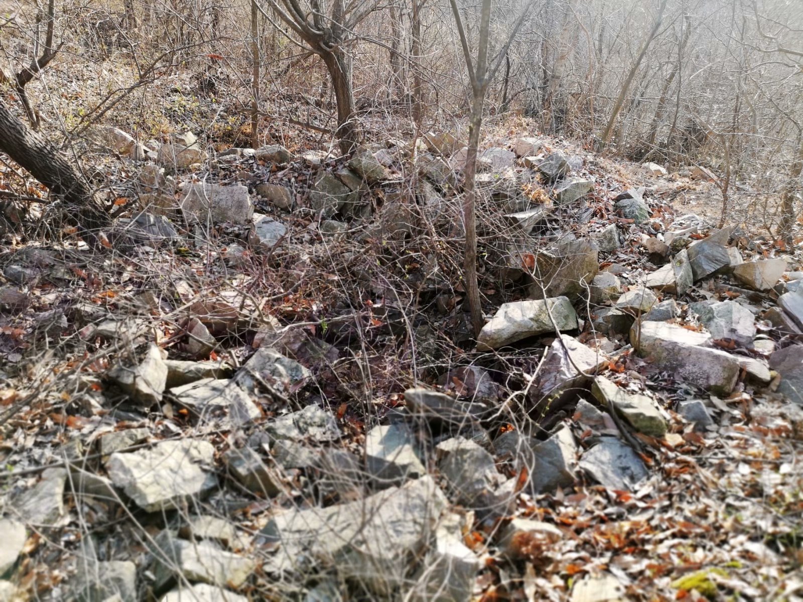 摩托周边旮旯游——探访蚌埠李楼鲁山寺遗址（上）