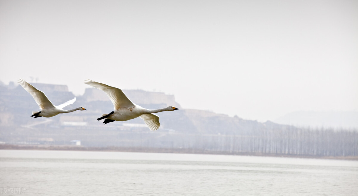 运城市十三县市有哪些,运城十三个县市有哪些