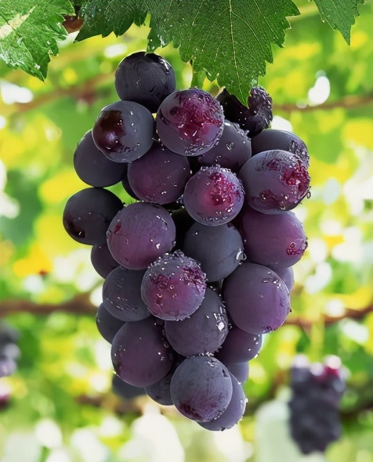 此按摩非彼按摩，硬嗑乳房按摩那些事儿