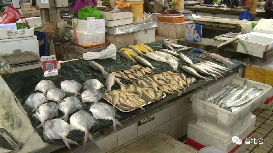 心痛的感觉!八种海鲜暂别啦