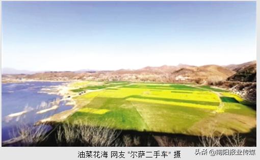 南阳晚报在线阅读,南阳晚报作品