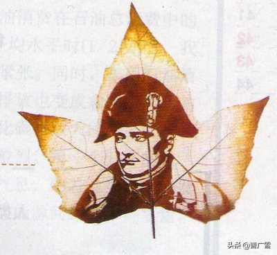 叶脉造型创意画幼儿作品,孩子喜欢的儿童创意画教程6-7岁