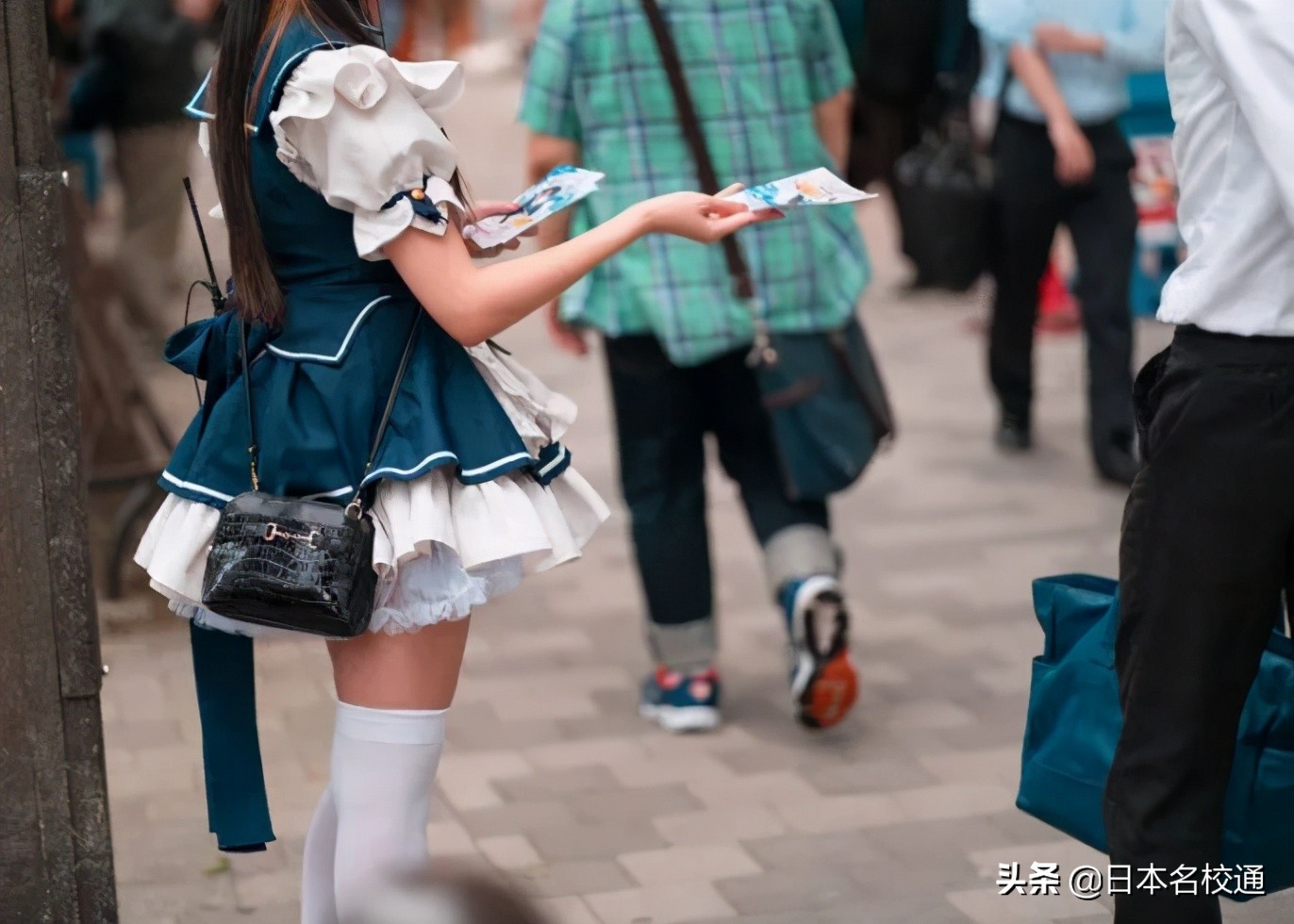 鲨鲨｜秋叶原｜女仆咖啡厅