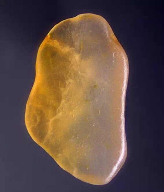 爱此一拳石玲珑翻译,爱此一拳石玲珑意思