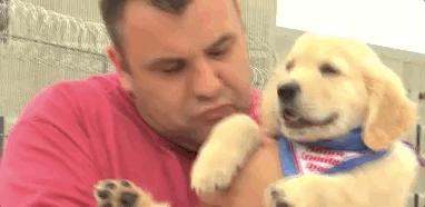 导盲犬被热议视频,导盲犬为什么被指责