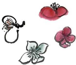 国画梅花上的雪画法步骤教程视频,零基础国画入门画梅花教程