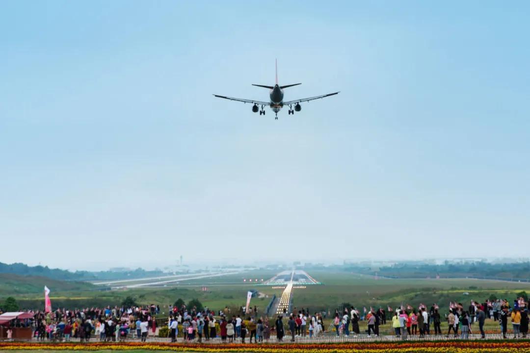 在空港花田里怎么拍照好看,每张都是屏保