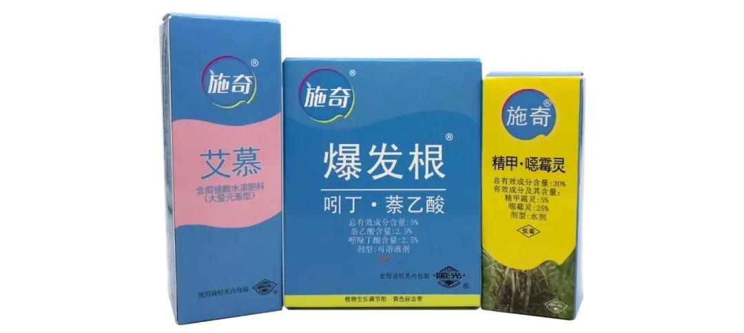 铁线莲春季萌芽后肥水管理,铁线莲大苗春季换盆的正确方法