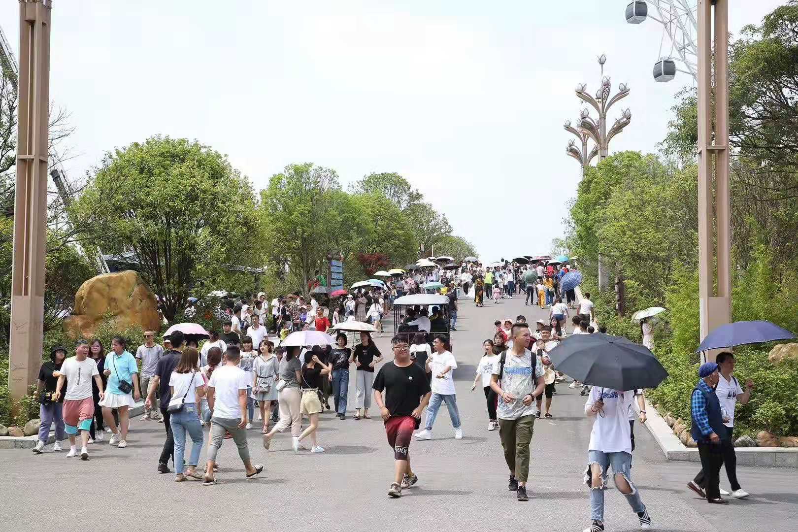 中国旅游市场发展趋势周边游,如何运营旅游市场