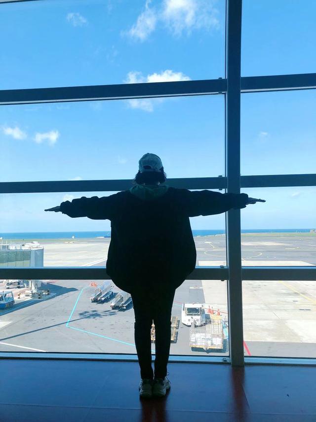 去济州岛需要准备啥,想去济州岛旅行怎么去