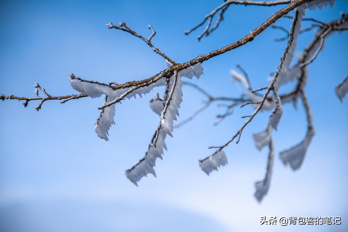 杭州边的南方最大天然滑雪场--云上星空,飘在安吉1168米高山云海