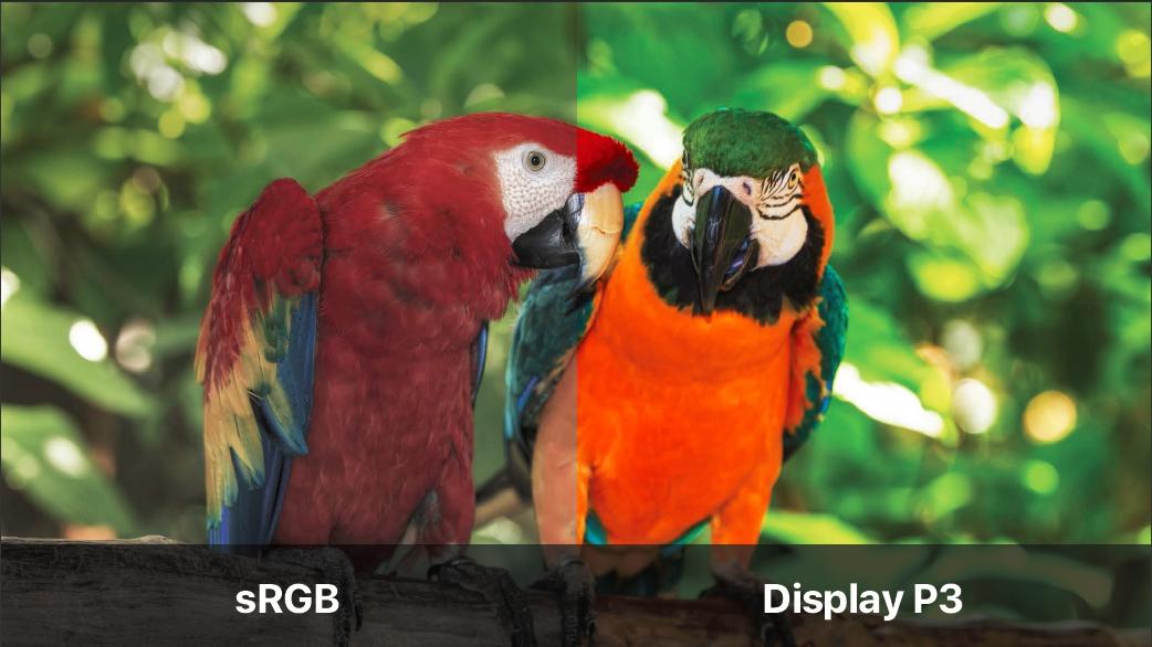 显示器各种设置介绍,显示器参数简单科普