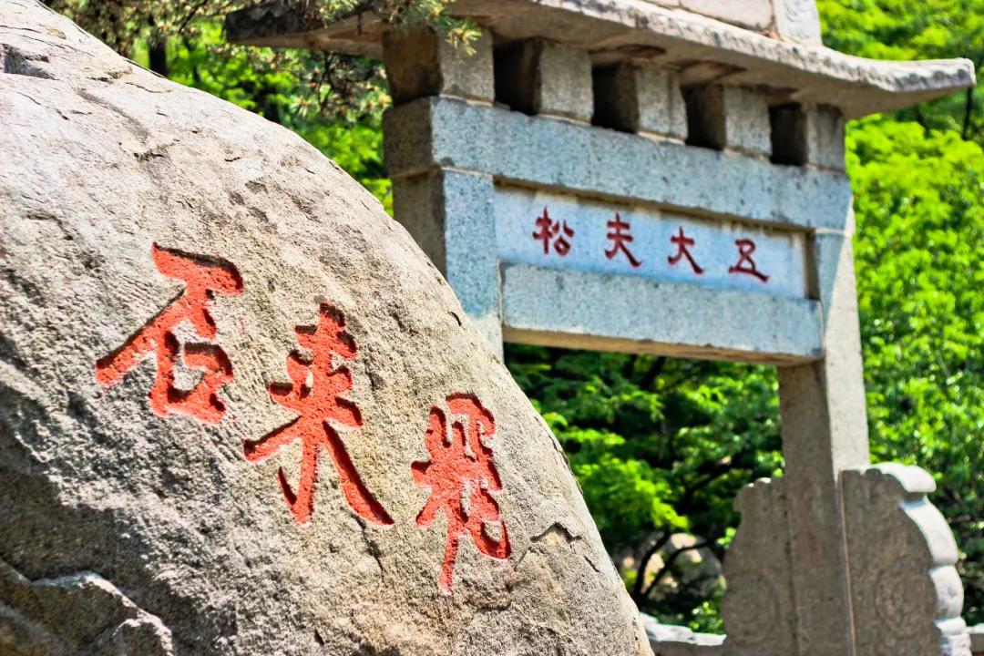 浜斿渤鐙皧涓崕鍦ｅ北,浜斿渤鐙皧涓崕鍦ｅ北鍥剧墖