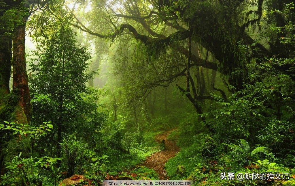 多木多多完结的小说,多木多多的作品集