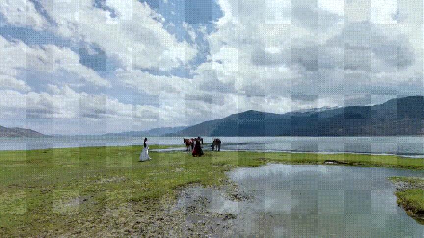 肖战的狼殿下好看吗,肖战狼殿下收官了吗