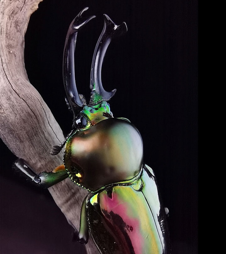 荣耀X10，5G超能王牌手机！麒麟820性能风暴，完美畅爽的游戏体验