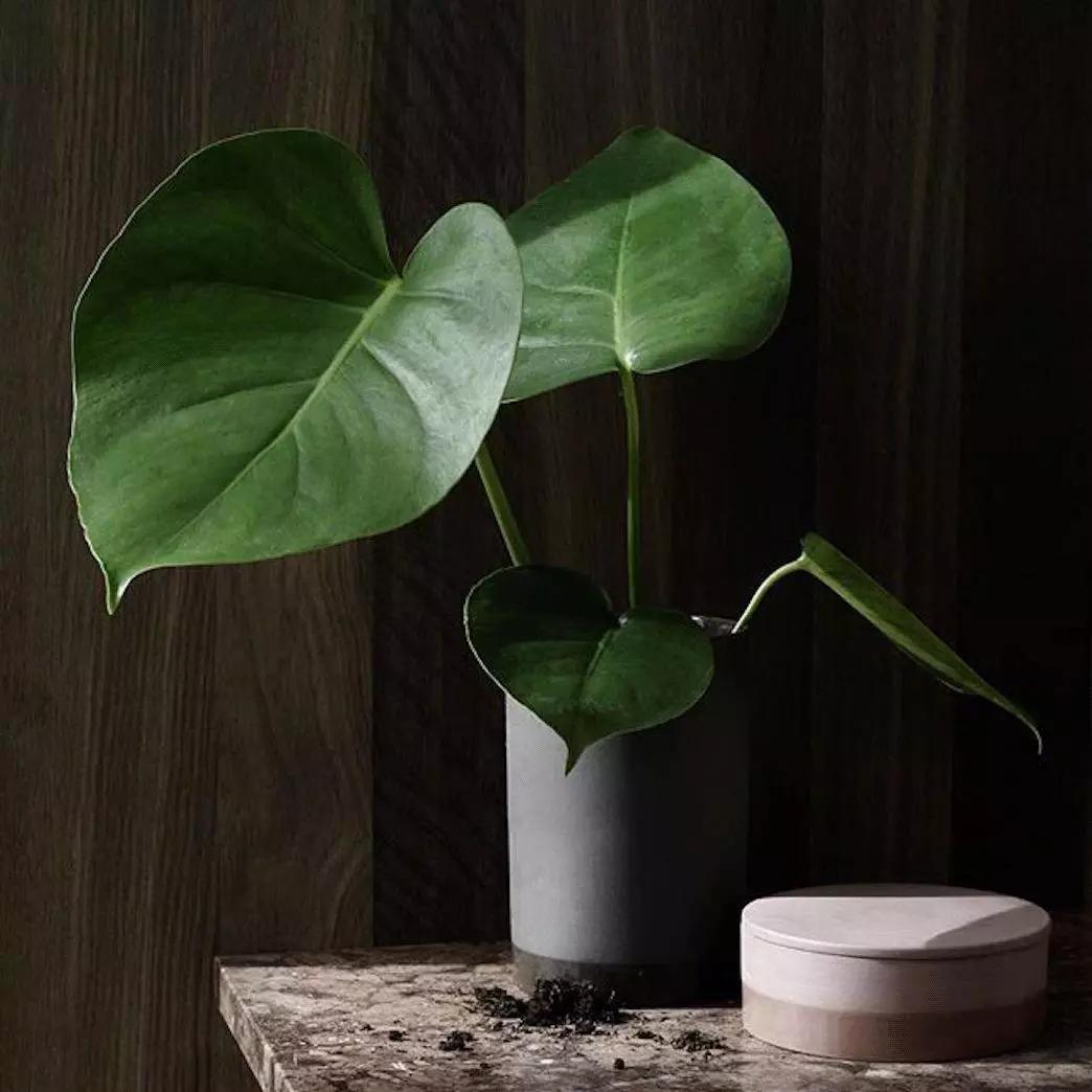 瓶子配花的方法,干花怎么配瓶子