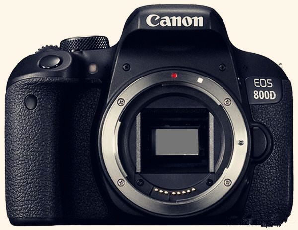 尼康唯卓仕851.8和永诺851.8哪个好,尼康佳能单反怎么选