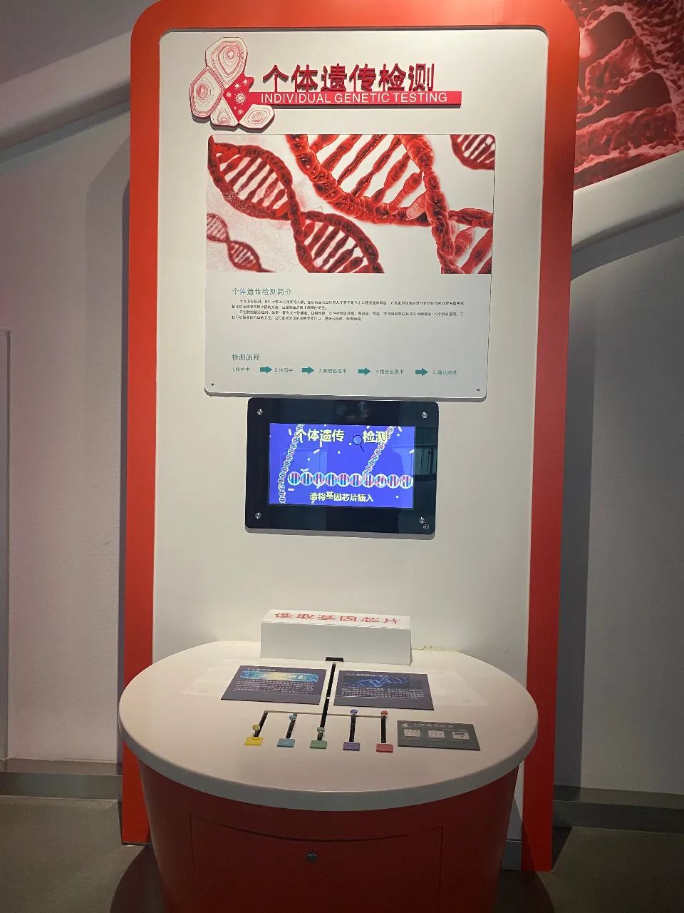 白化病、唐氏综合征、先天性心脏病，是怎么回事？