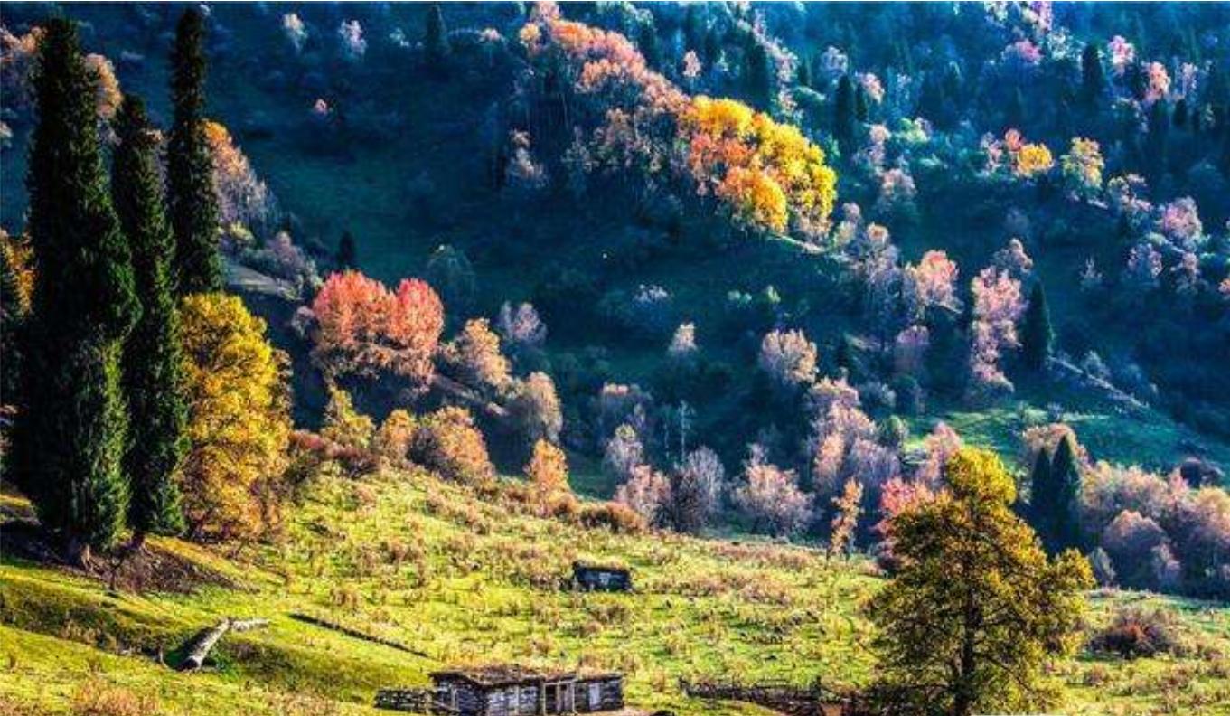 新疆伊犁人间仙境,新疆真正的人间仙境视频