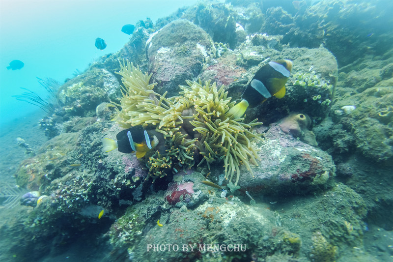 世界上最美的潜水胜地,巴厘岛的图兰奔!二战沉船遗址等你探索