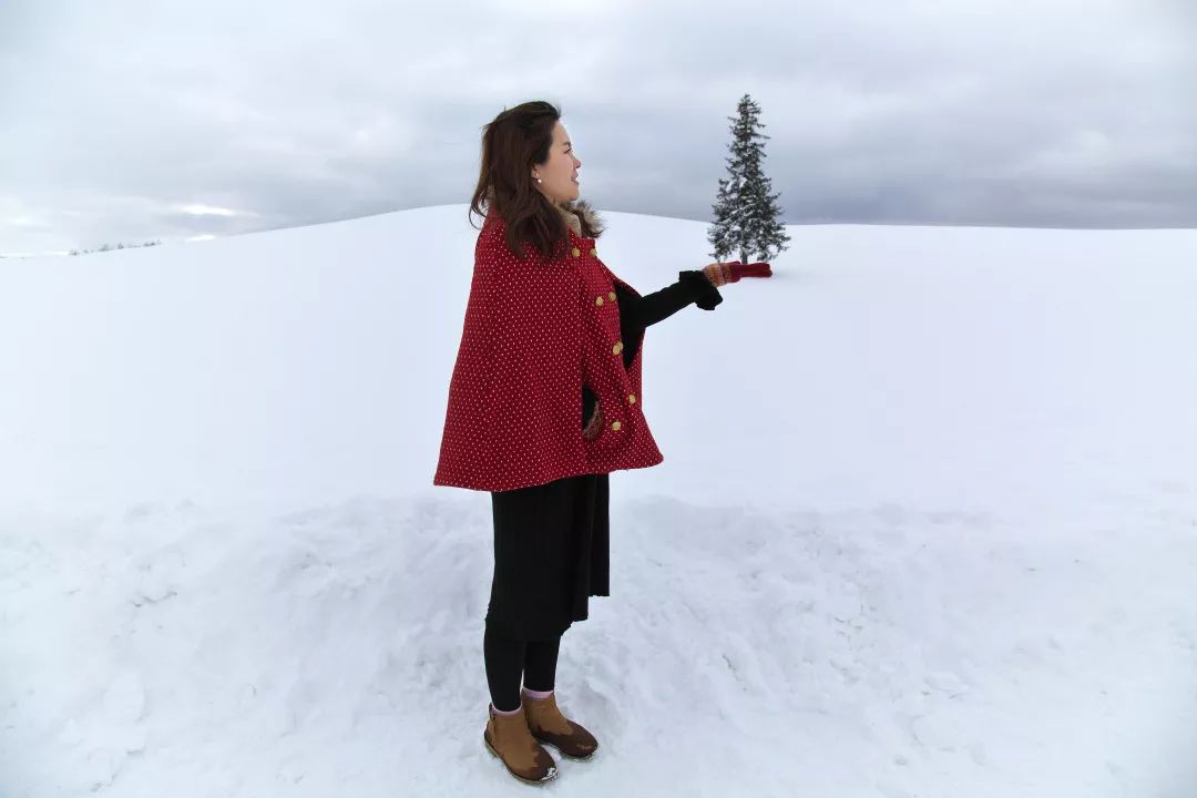 老实说,这一趟北海道就是为了拍好看的照片去的