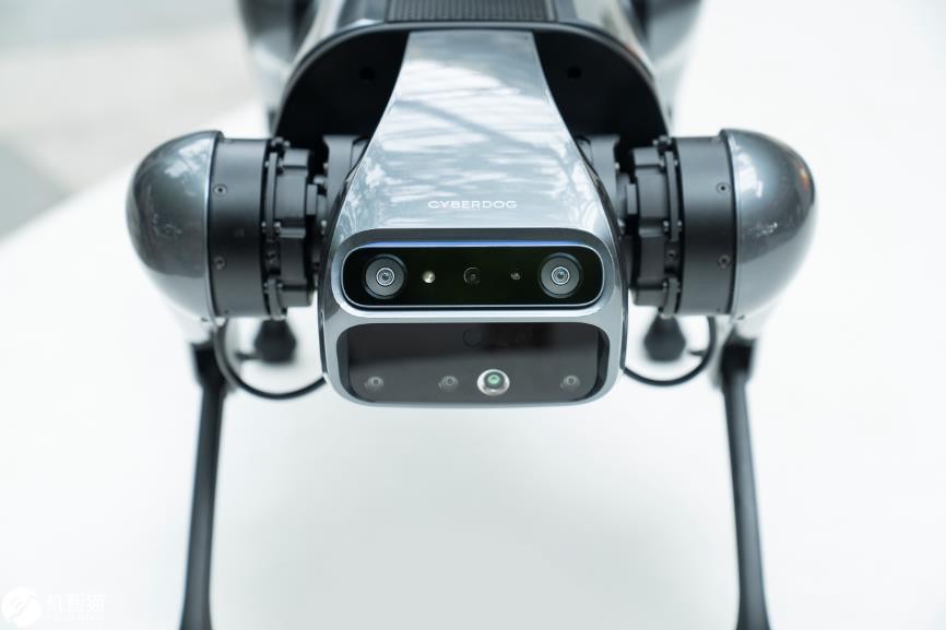铁蛋四足仿生机器人,cyberdog铁蛋有什么用