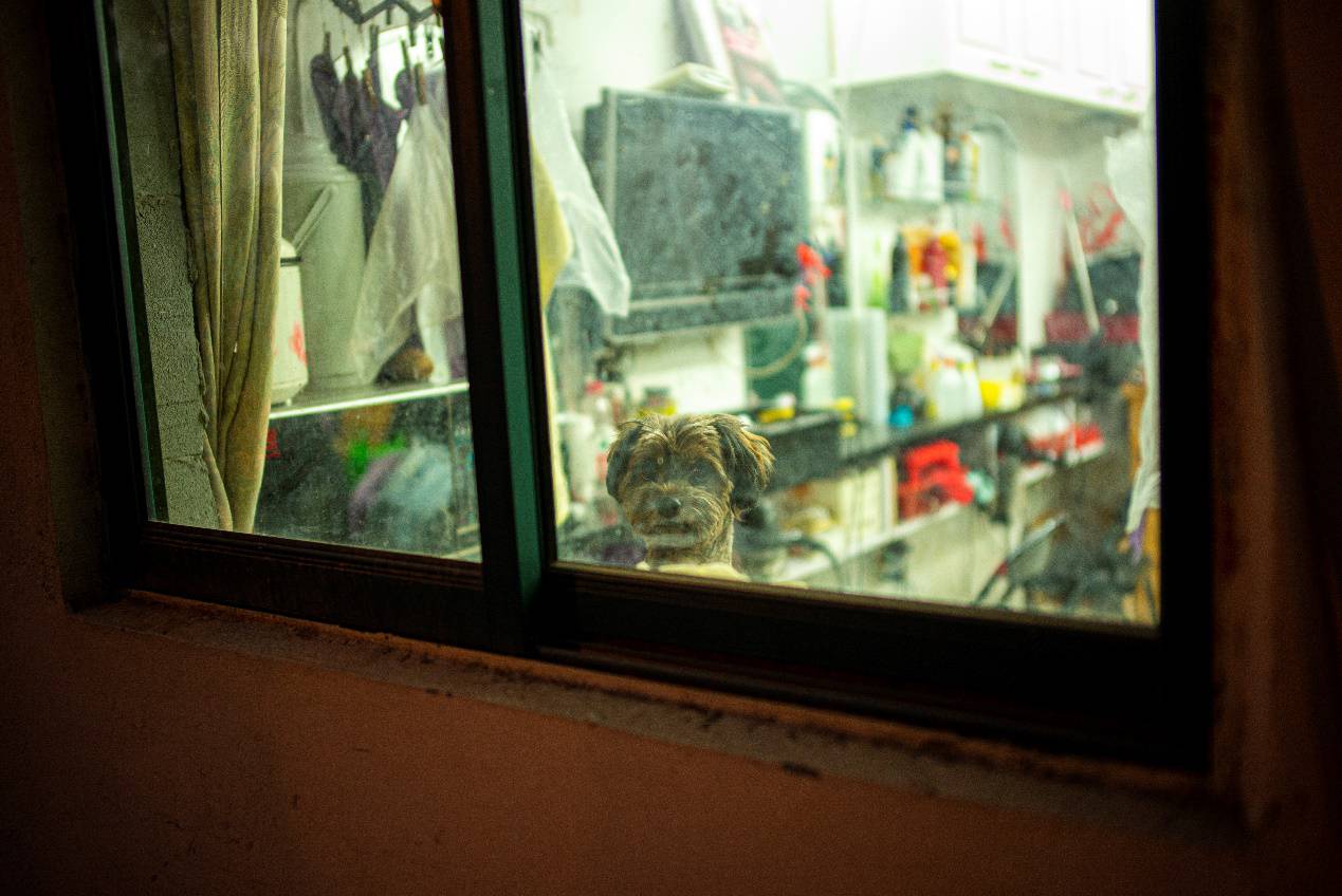 铭匠35mmf1.4使用教程,铭匠35mmf1.4和星曜50mm1.8