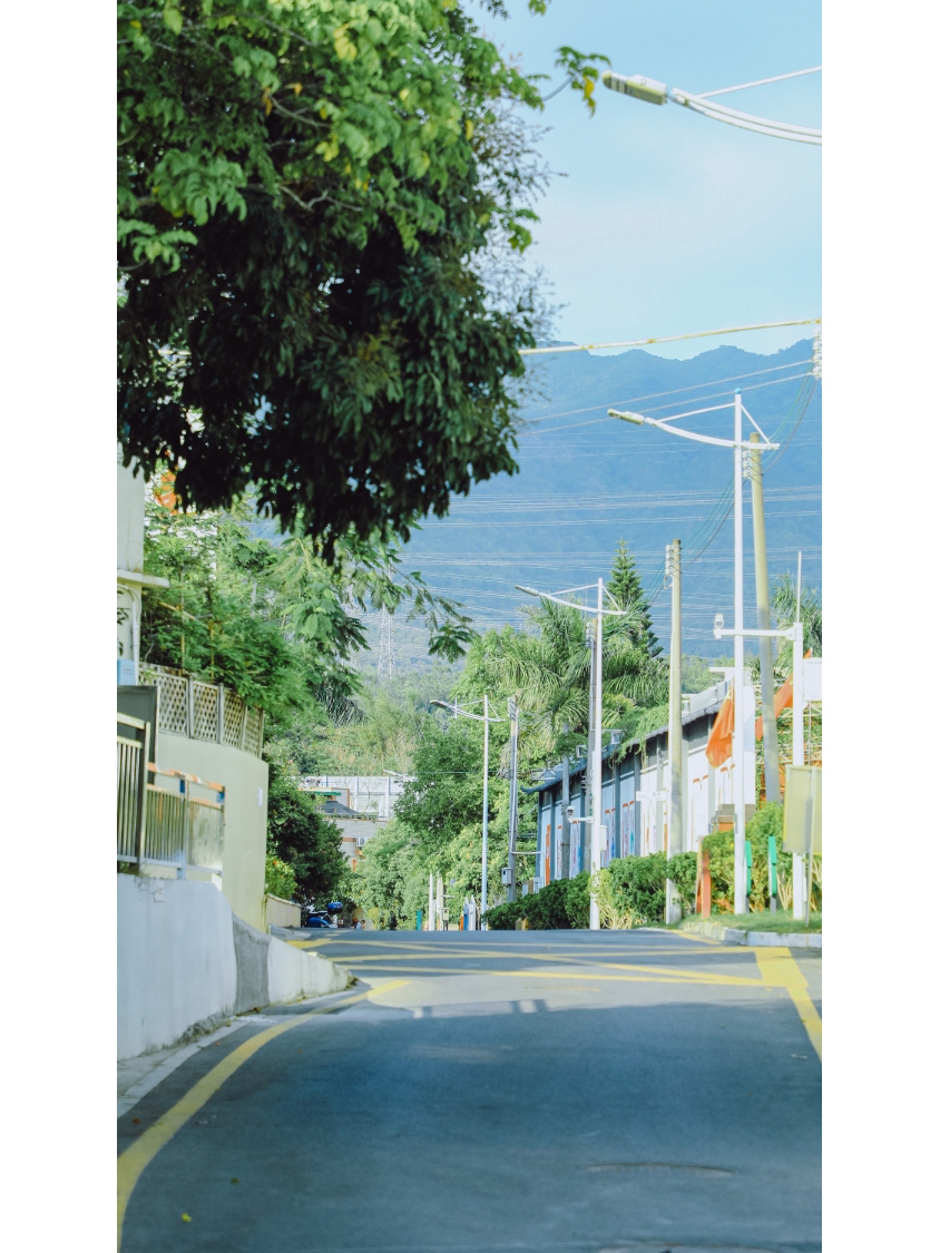 深圳皇岗拍照,深圳湾红树林公园拍照姿势