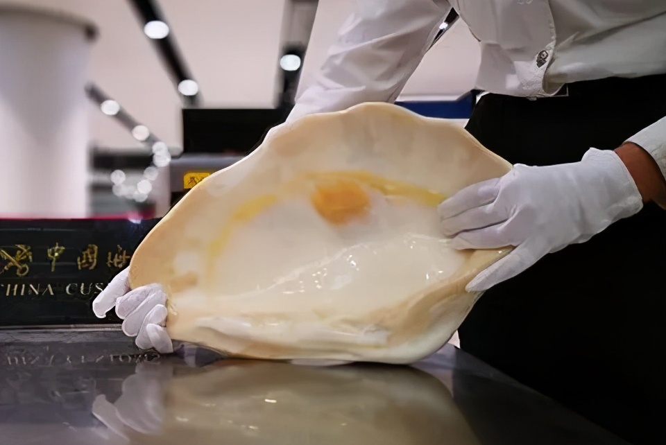 砗磲被哪些国家列为保护动物,砗磲象牙犀牛角