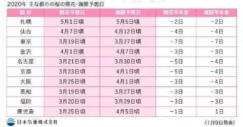 日本樱花又快开了吗 (日本樱花预计什么时候开)