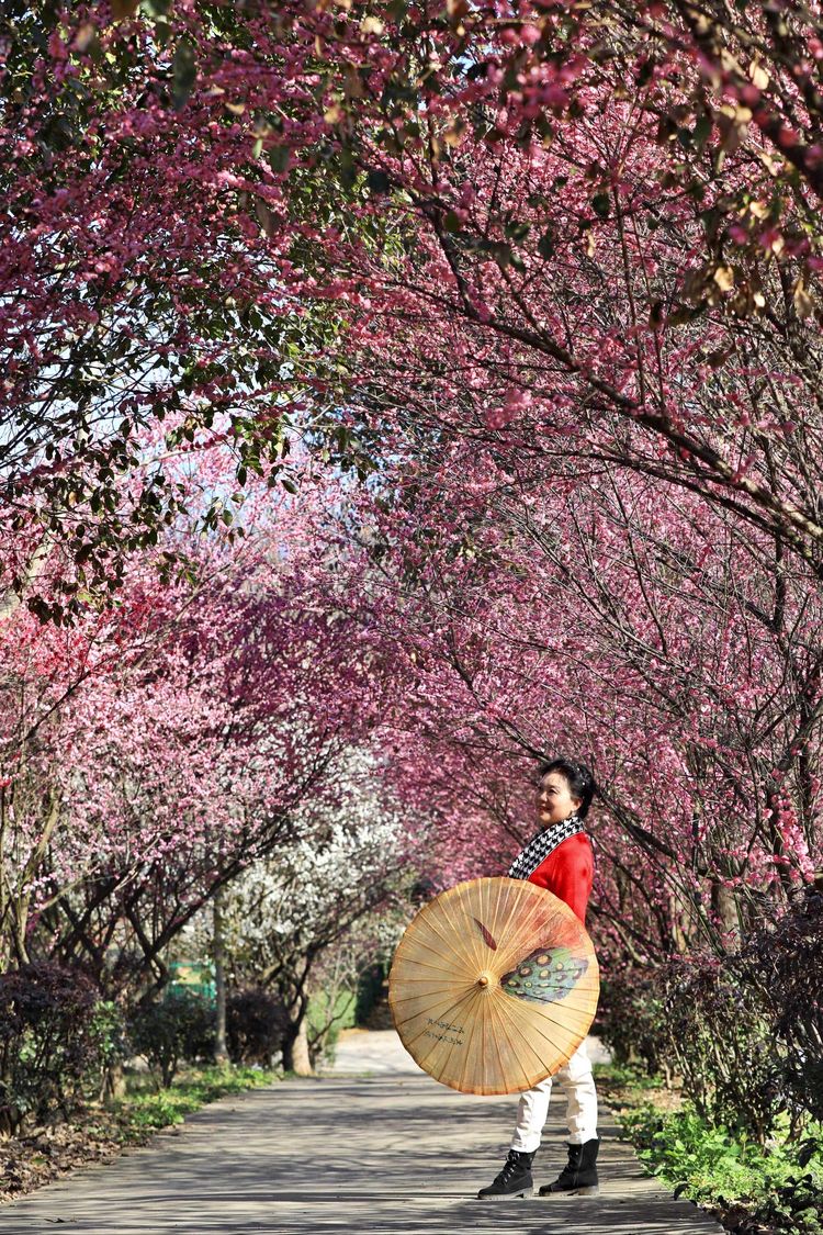 傅家边野营,走进金溪傅家村