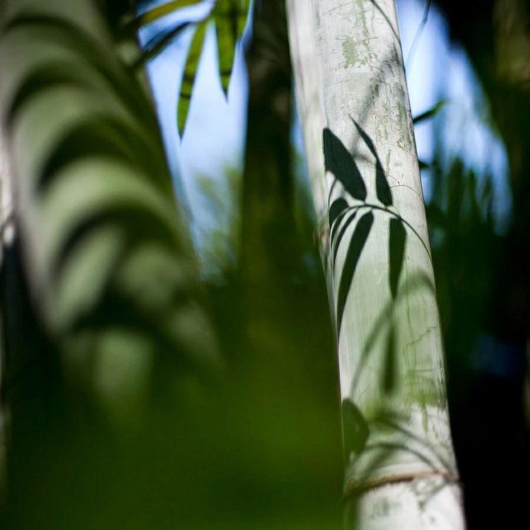 “研”途好风光追梦在路上许昌市建设路学校教育集团线上语文教研