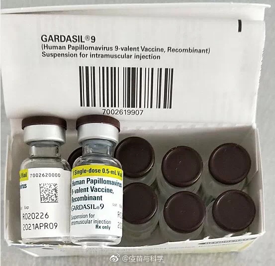 香港水货九价疫苗,香港承认的疫苗