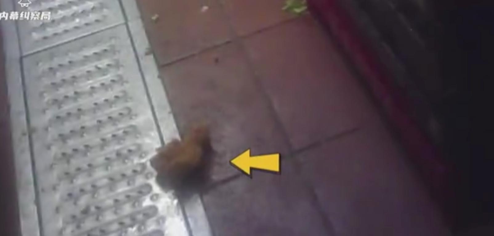 鸡块掉地上捡起来继续炸,鸡块掉地上