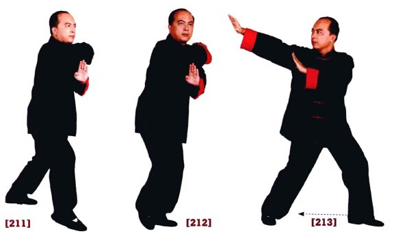 咏春拳入门十二散手,咏春拳标指教学视频