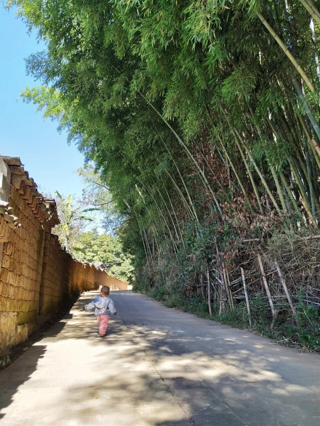 户撒佛祖的后花园现在怎么走,户撒为什么叫佛祖后花园
