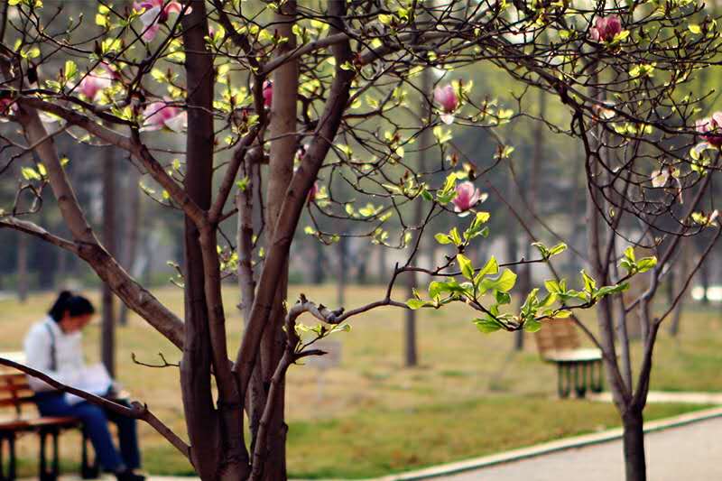 最独特的身份证,中国最有名身份证