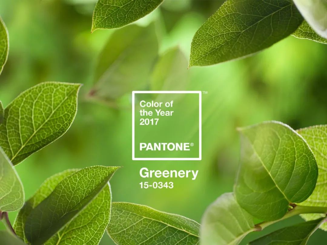 pantone潘通色号,pantone潘通发布2016年度流行色