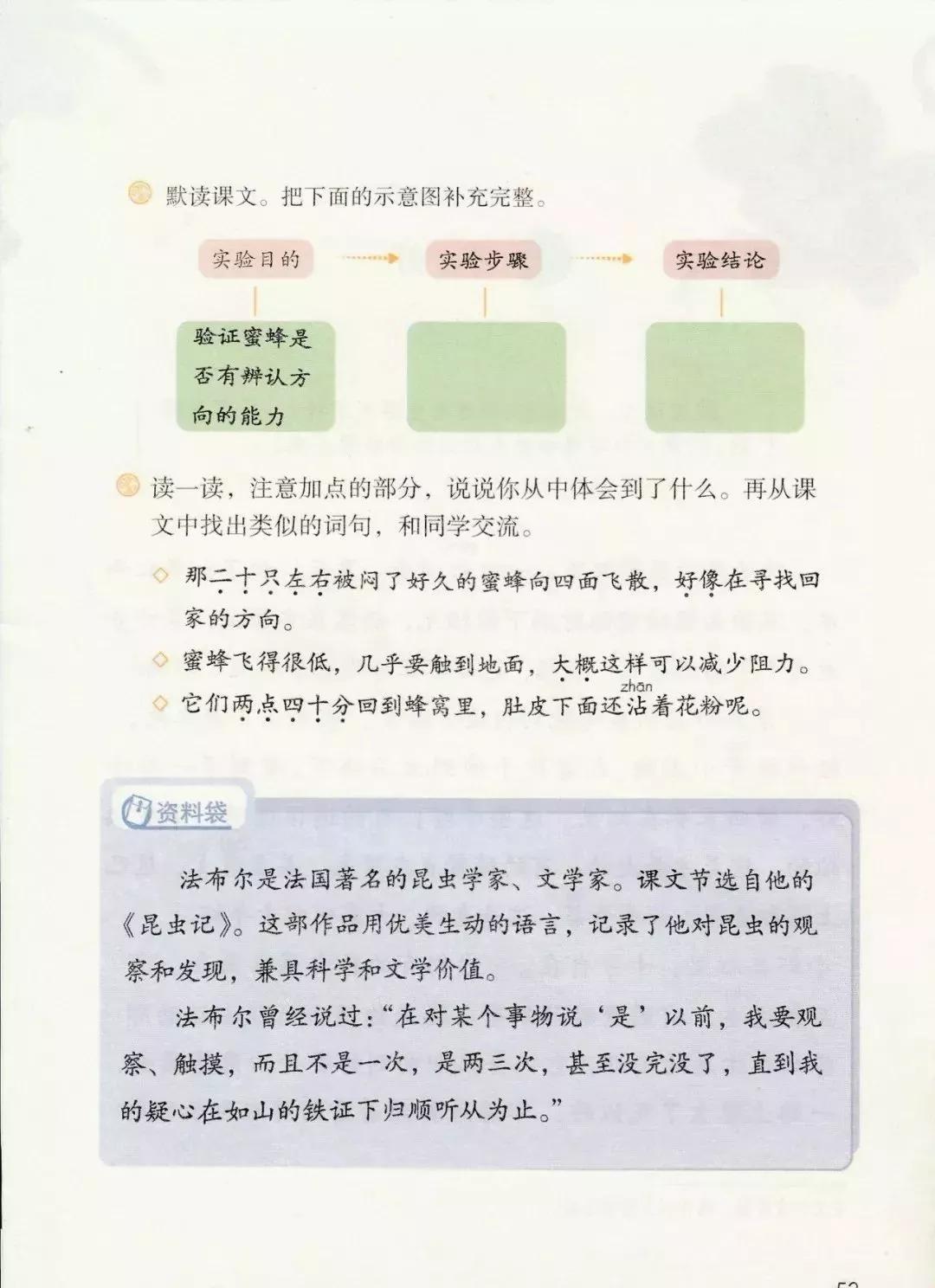 部编版三年级下册电子课本,部编版三年级下册课文详解