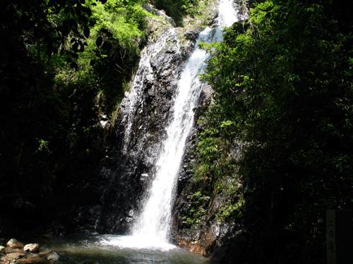 虫草山水画,四季花草山水画作品欣赏