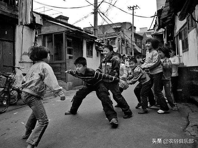 鸡老是被老鹰叼走有什么办法,山里散养鸡怎么预防黄鼠狼和老鹰