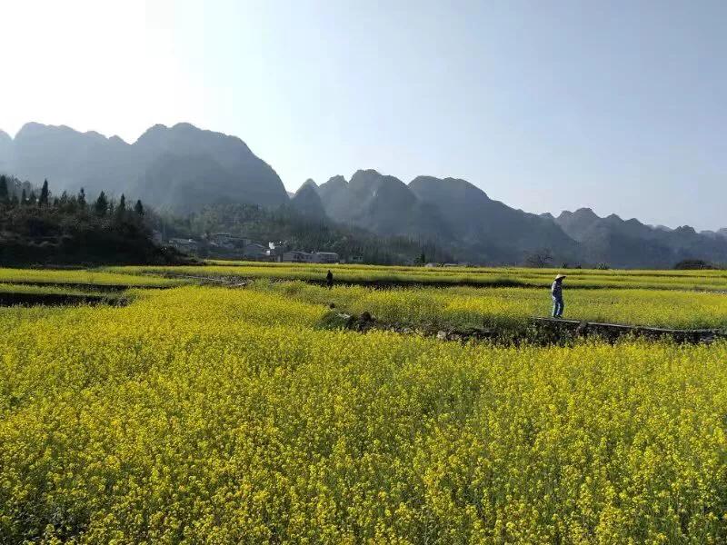 手拍世界近期作品,手拍世界微信公众号