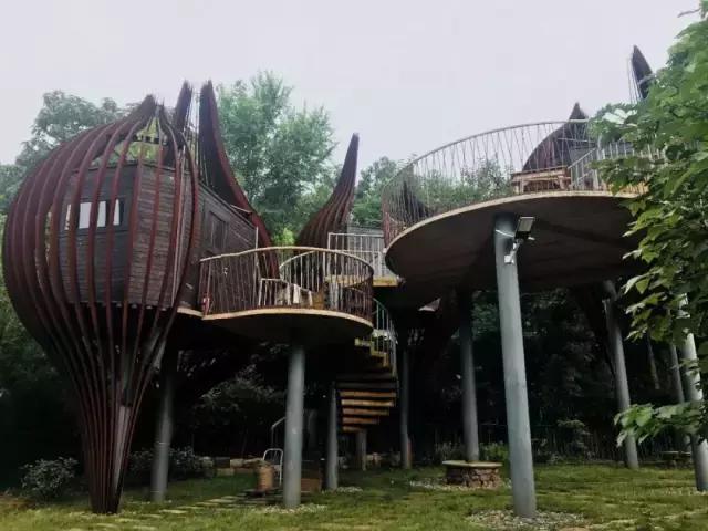 洛阳适合休息的公园,洛阳免费公园景点大全