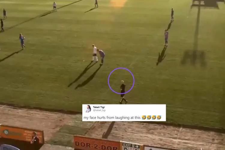 ai误认裁判光头为足球裁判,足球转播ai对焦到裁判的头上