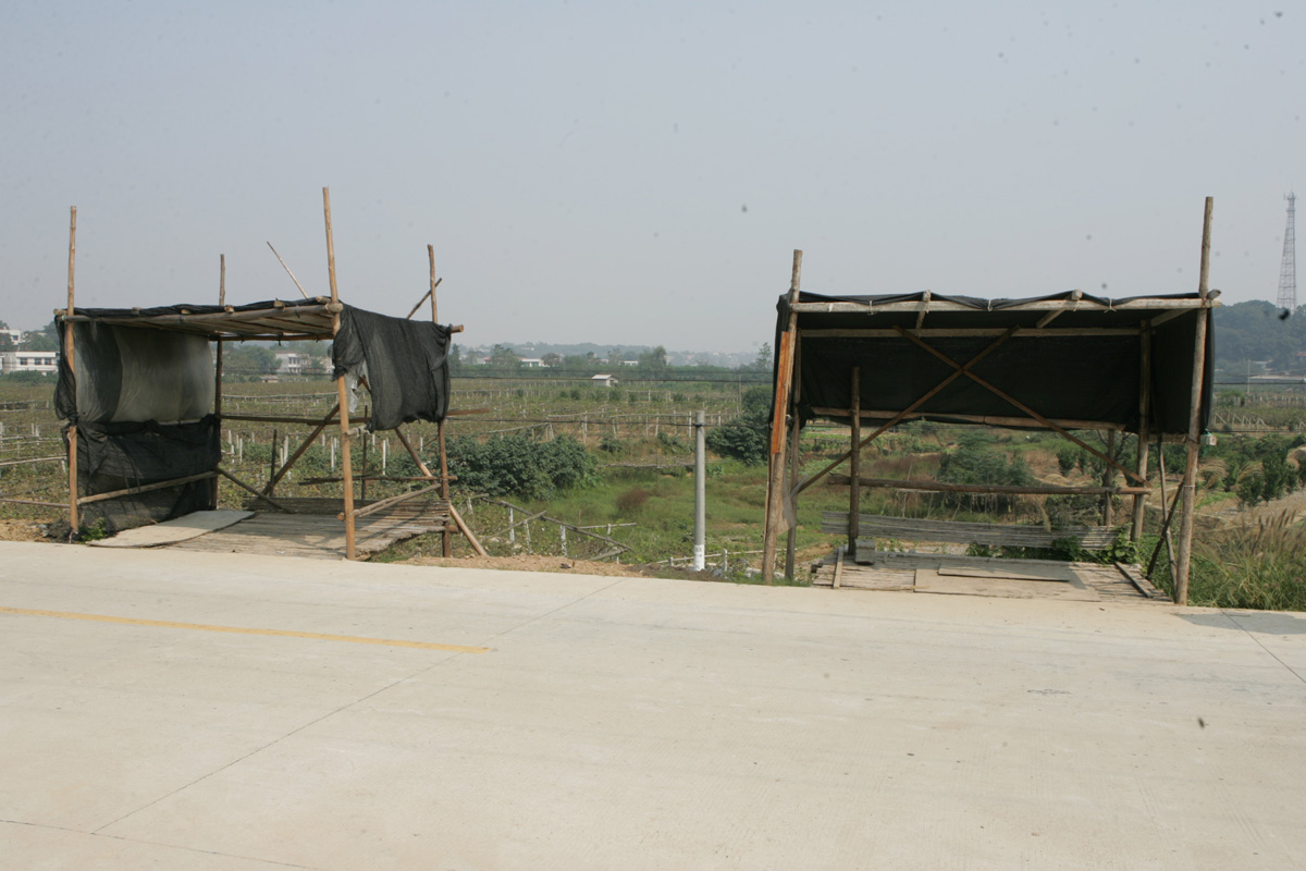 梅溪湖的葡萄园,梅溪湖有没有葡萄园