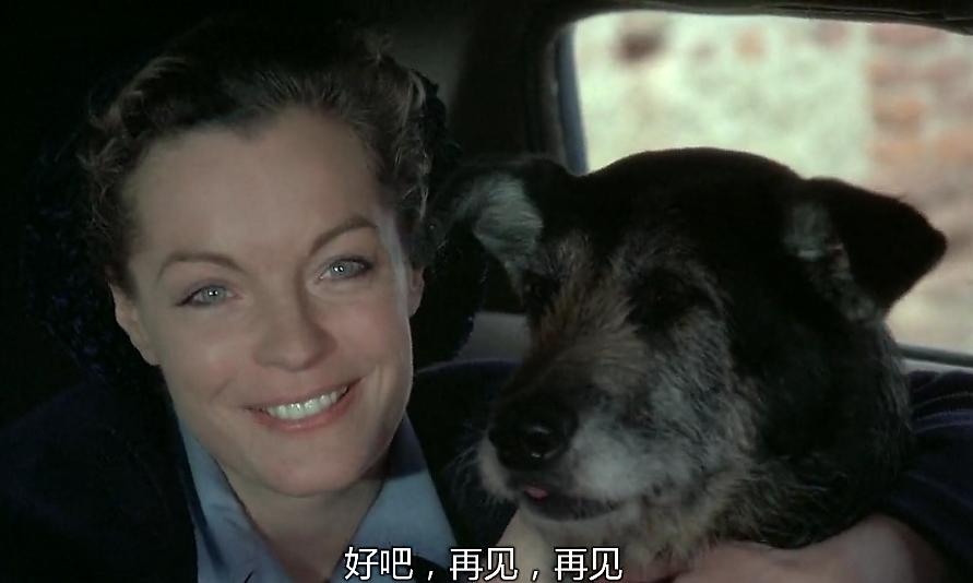 一个男人的复仇完整版,一个男人复仇杀了很多人