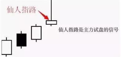 操盘技巧仙人指路形态及要点,一位良心操盘手对散户的忠告